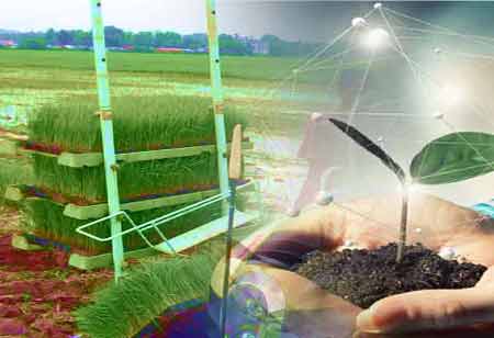Crop Insurance Services Leverage Digital Solutions to Assess Crop Risk 